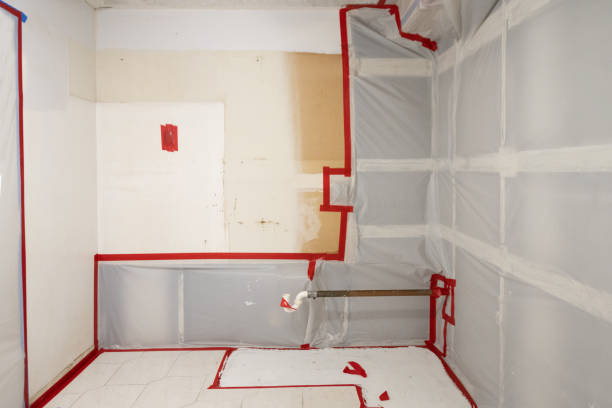 Forensic Mold Investigation in Fairview, MT