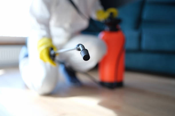 Mold Remediation for Vacation Homes in Fairview, MT