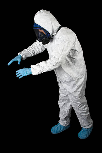Best Mold Damage Restoration  in Fairview, MT