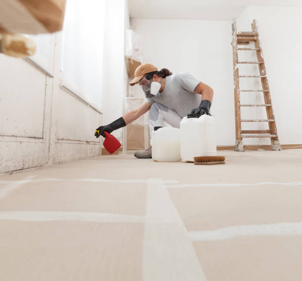 Best HVAC Mold Inspection and Cleaning  in Fairview, MT